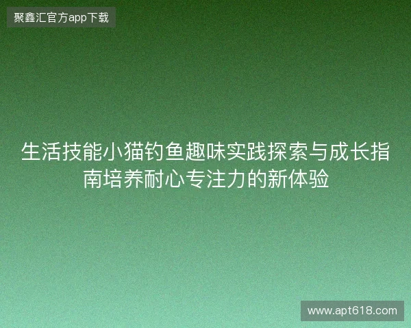 生活技能小猫钓鱼趣味实践探索与成长指南培养耐心专注力的新体验
